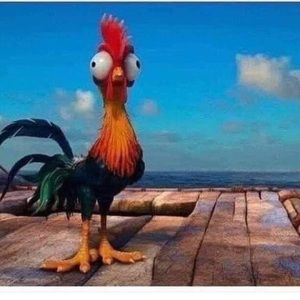 Meet your Posher, Cece